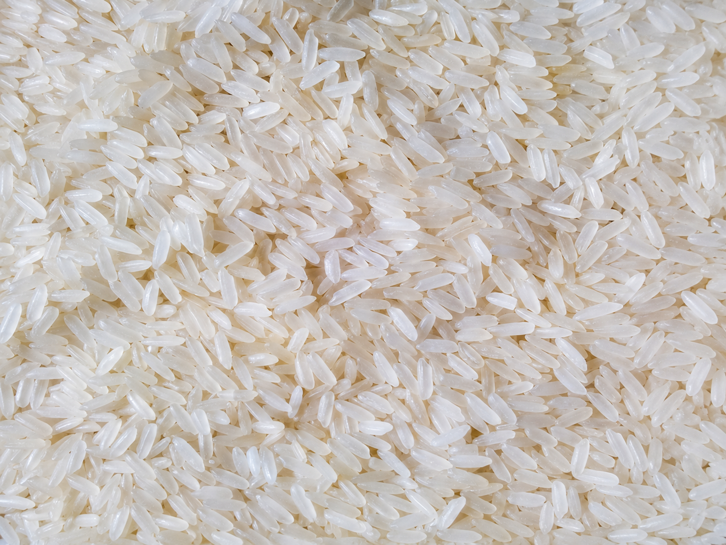 IR-36 Rice exported by Aurenta International Pvt. Ltd. from India